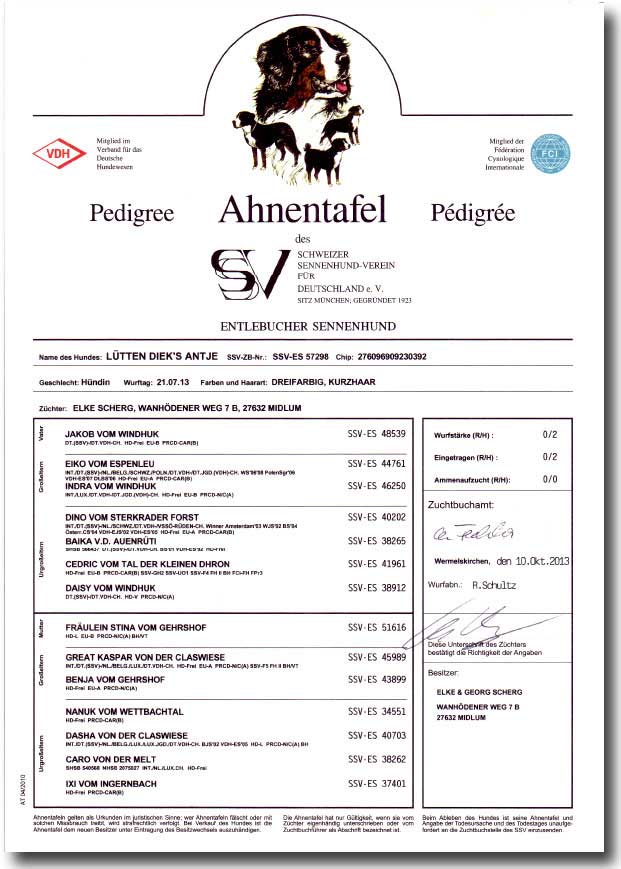 Antjes Ahnentafel ...